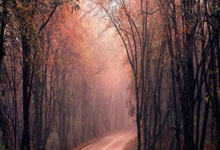 国安队员助攻热骑士队创下进球记录